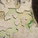 Close up of paint loss on Jamali painting before restoration services.