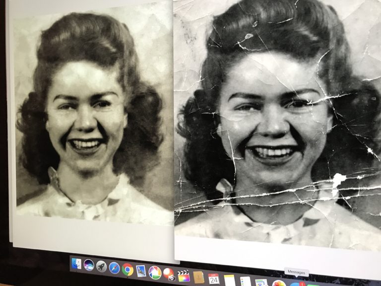 Conservation photography thesis 07 picture