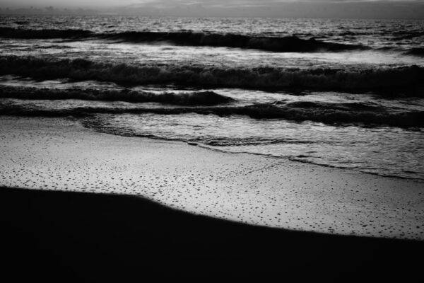 Black and White Image of The Waves and a shoreline